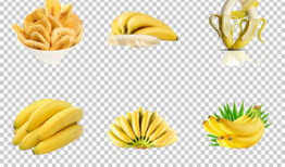 国产精品大香蕉,探寻中国美食的独特魅力